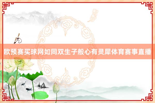 欧预赛买球网如同双生子般心有灵犀体育赛事直播