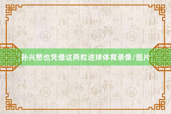 孙兴慜也凭借这两粒进球体育录像/图片