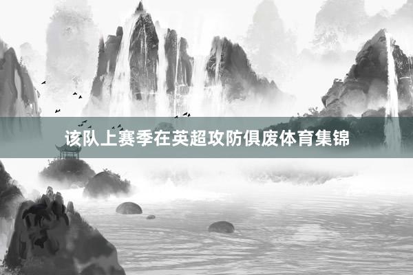 该队上赛季在英超攻防俱废体育集锦
