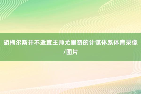 胡梅尔斯并不适宜主帅尤里奇的计谋体系体育录像/图片