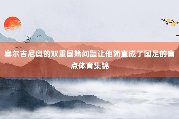 塞尔吉尼奥的双重国籍问题让他简直成了国足的盲点体育集锦