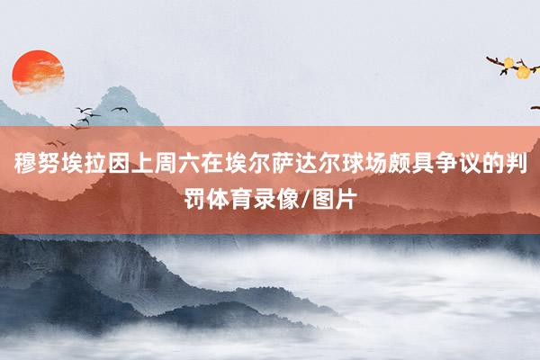 穆努埃拉因上周六在埃尔萨达尔球场颇具争议的判罚体育录像/图片
