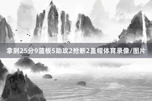 拿到25分9篮板5助攻2抢断2盖帽体育录像/图片