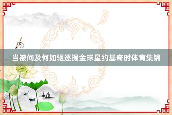 当被问及何如驱逐掘金球星约基奇时体育集锦