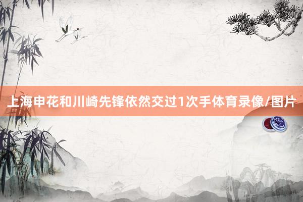 上海申花和川崎先锋依然交过1次手体育录像/图片